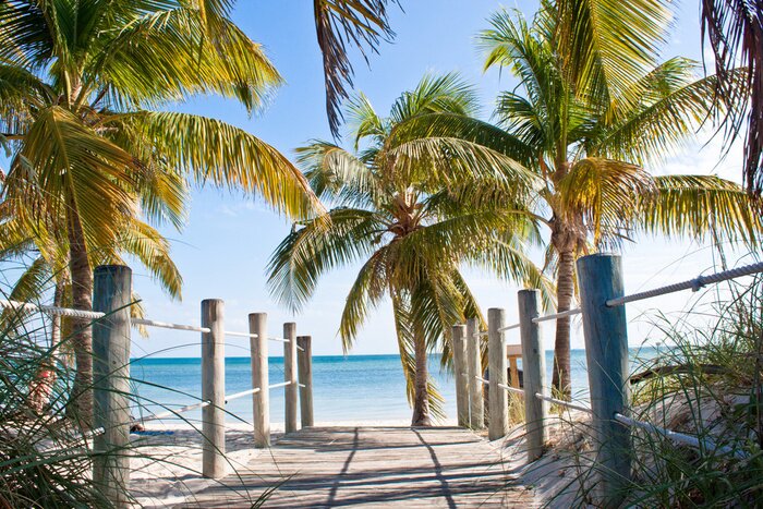 Poster Landschaft mit einer Straße zum Strand