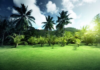 Poster Landschaft mit Kokosnusspalmen