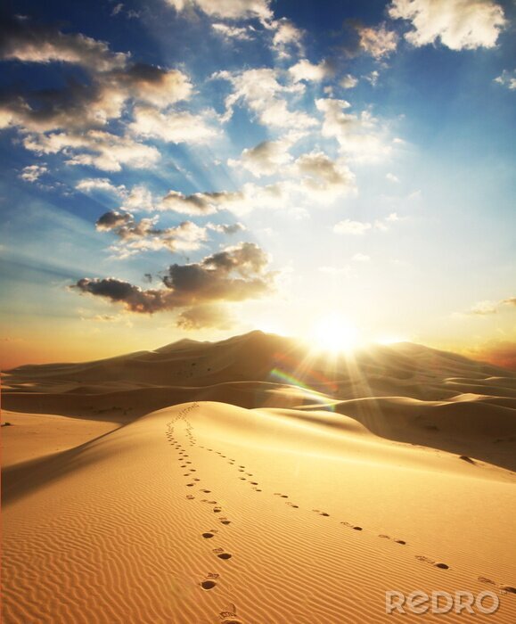 Poster Landschaft mit Spuren in der Wüste
