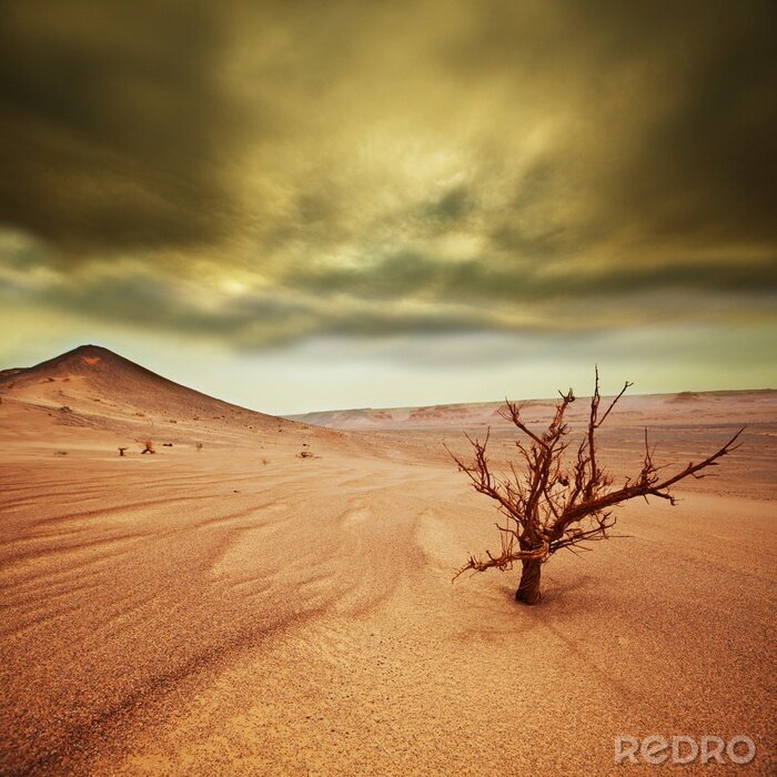 Poster Landschaft mit Wüste