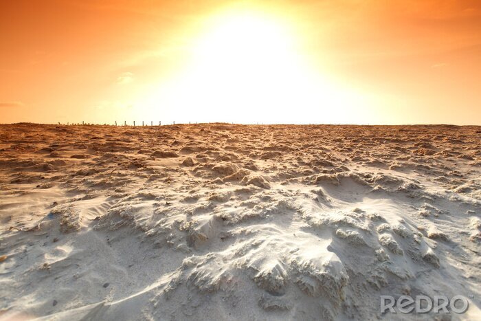 Poster Landschaft mit Wüste bei Sonnenuntergang