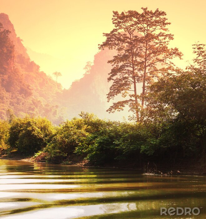 Poster Landschaft Wald in Vietnam