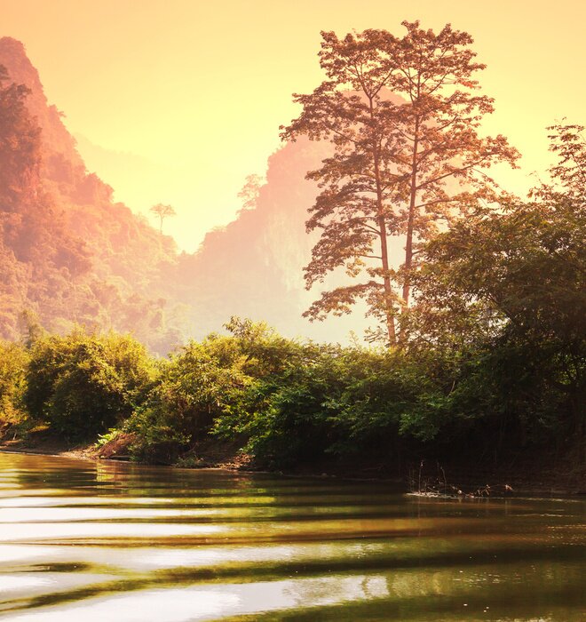 Poster Landschaft Wald in Vietnam