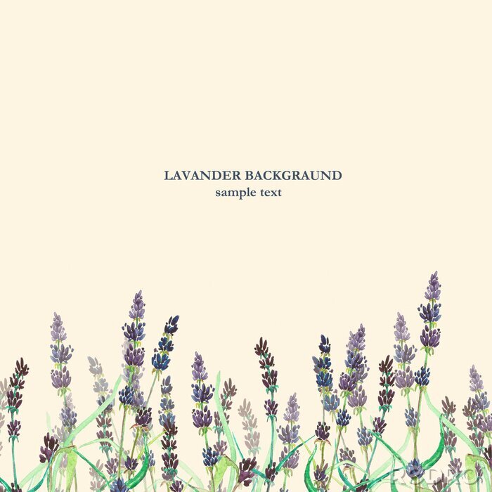 Poster Lavendel auf beige Hintergrund