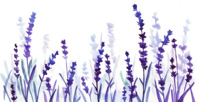 Poster Lavendel fällt in Saphirschattierungen