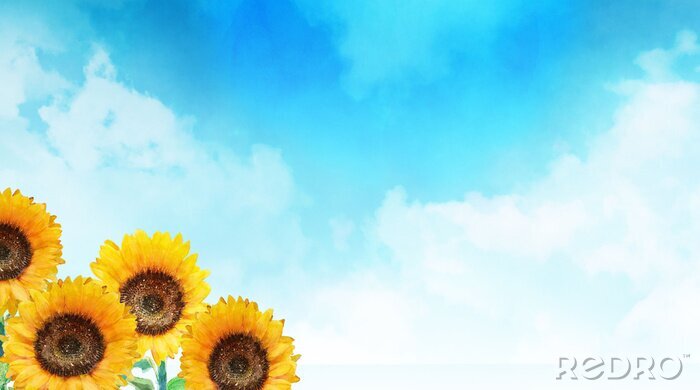 Poster Lebendige Sonnenblumen und Himmel mit Sommerwolken bedeckt