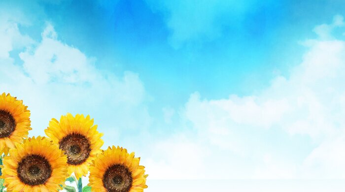 Poster Lebendige Sonnenblumen und Himmel mit Sommerwolken bedeckt