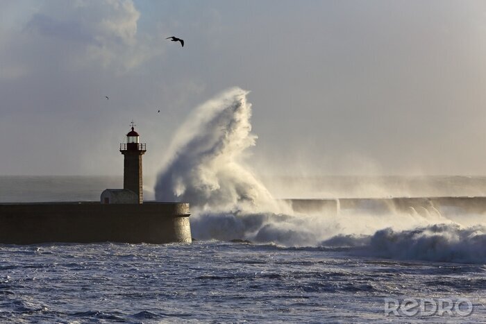Poster Leuchtturm in Meerlandschaft