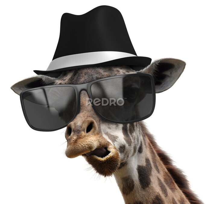 Poster Lustige Giraffe mit Brille und Hut