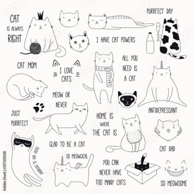 Poster Lustige Zeichnungen von Katzen