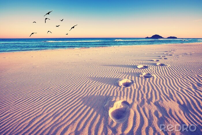 Poster Magische Fußspuren im Sand