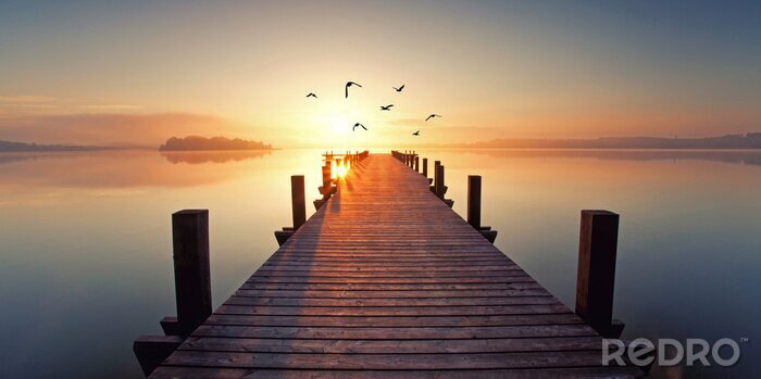 Poster Magischer Sonnenuntergang am See