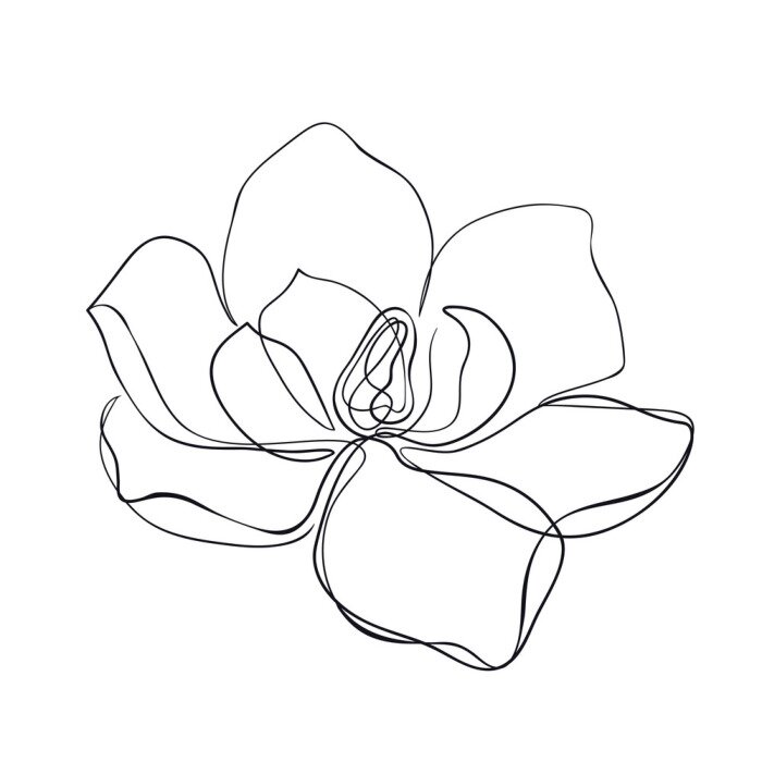 Poster Magnolie auf weißem Hintergrund Handskizze