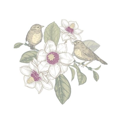 Poster Magnolienbaum und Vögel in Pastell