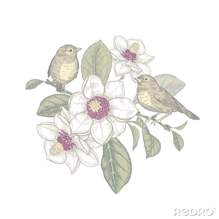 Poster Magnolienbaum und Vögel in Pastell