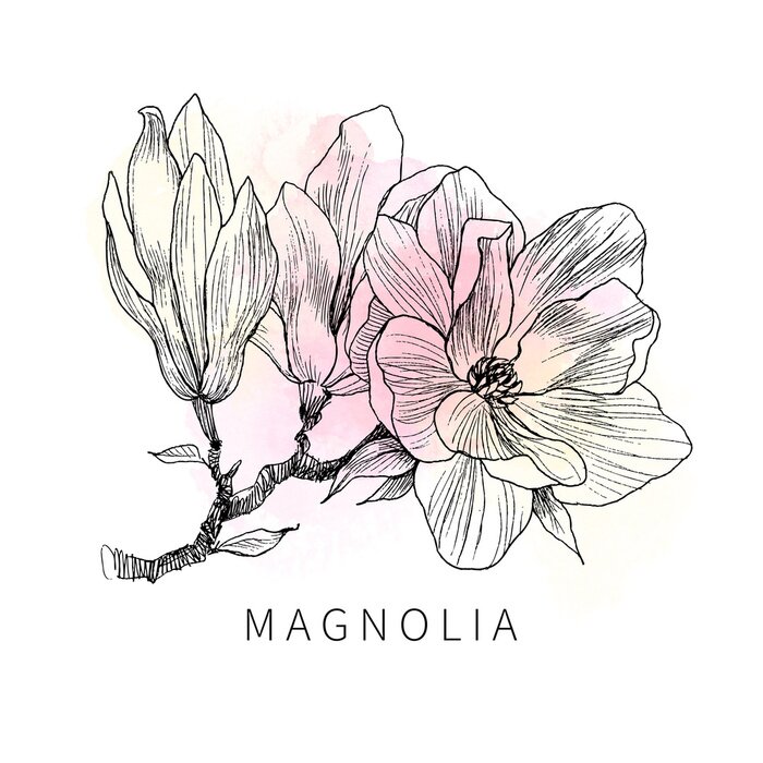 Poster Magnolienzweig gefüllt mit Pastellfarben