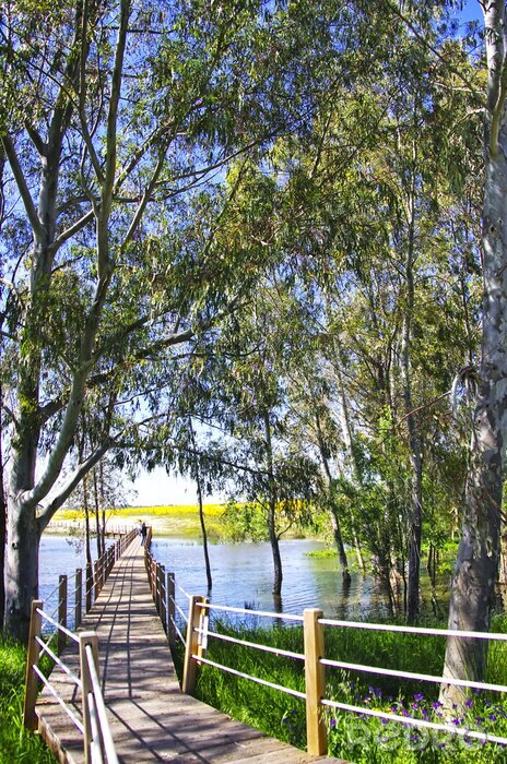 Poster Malerische Landschaft eines portugiesischen Sees