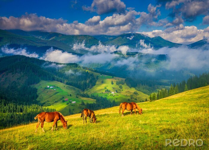 Poster Malerische Landschaft mit Tieren