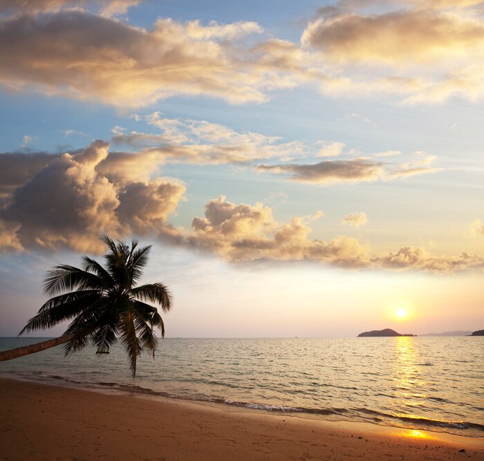 Poster Maritime Landschaft mit tropischem Ausblick