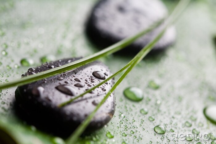 Poster Massage Steine