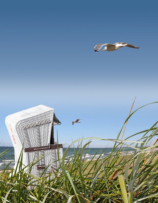 Poster Meer Natur und fliegende Möwe