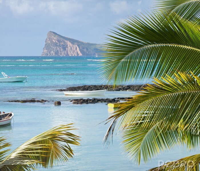 Poster Meereslandschaft mit einer Klippe