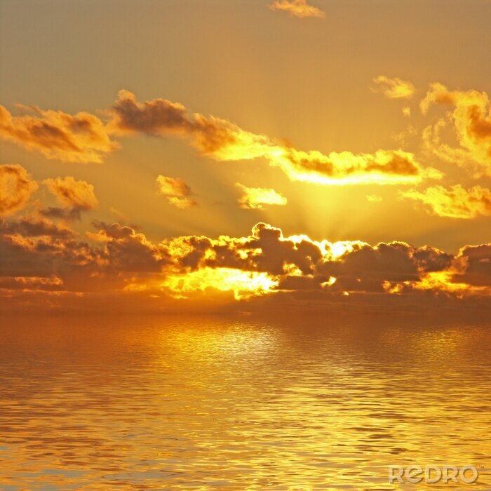 Poster Meeresnatur bei Sonnenuntergang