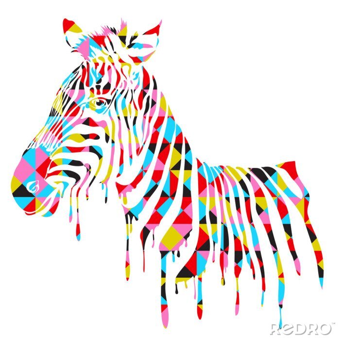 Poster Mehrfarbiges Zebra