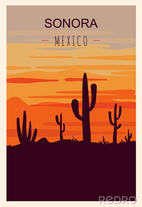 Poster Mexikanische Wüste im Bild