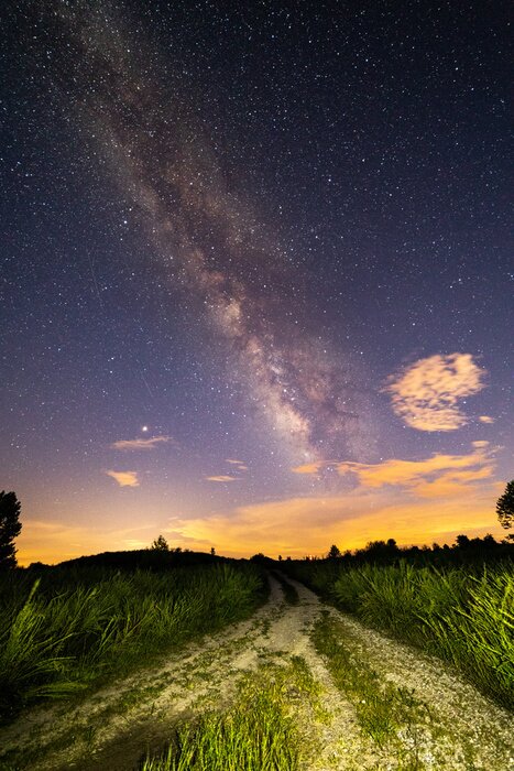 Poster Milchstraße über der Wiese