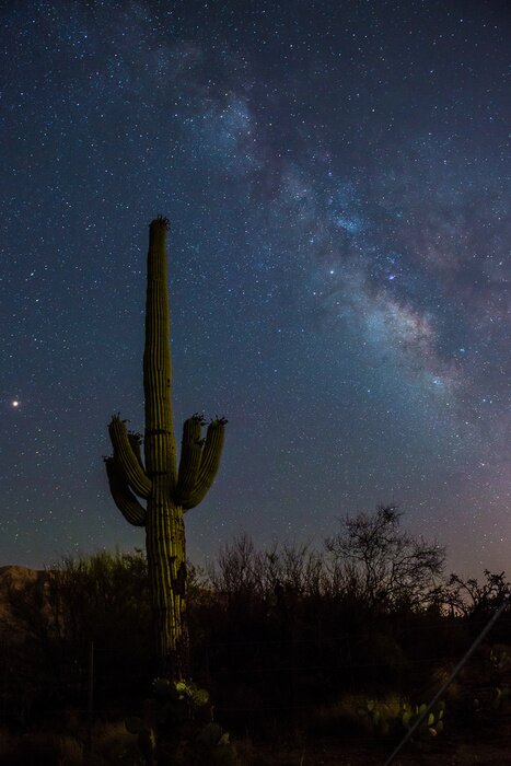 Poster Milchstraße über der Wüste