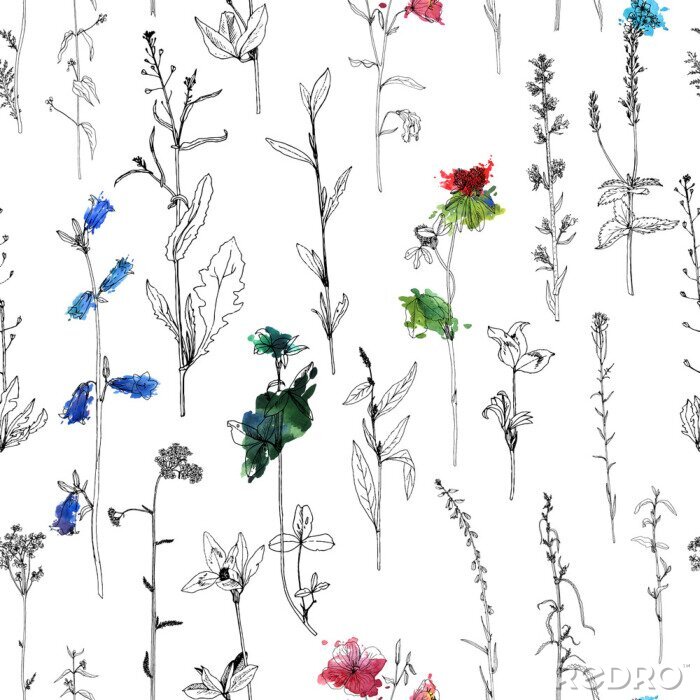 Poster Minimalistische Wildblumen