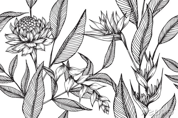 Poster Minimalistisches Muster mit exotischen Pflanzen