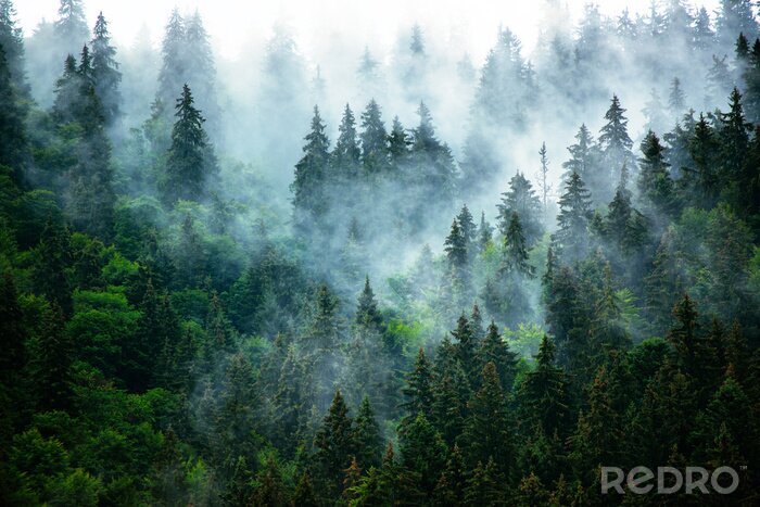 Poster Misty mountain landscape