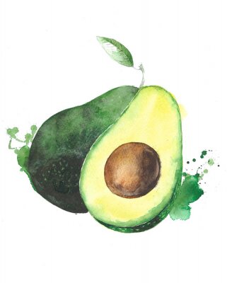 Poster Mit Aquarell gemalte Avocado
