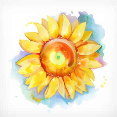Mit Aquarellfarbe gemalte Sonnenblume