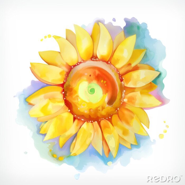 Poster Mit Aquarellfarbe gemalte Sonnenblume