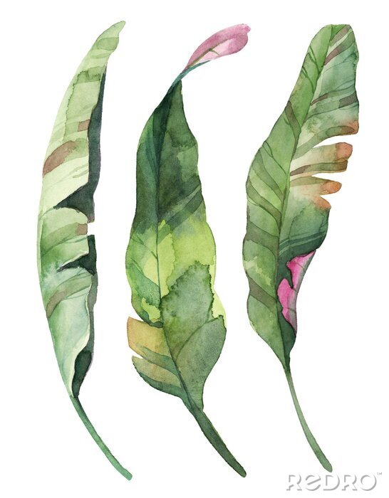 Poster Mit Aquarellfarben gemalte Blätter
