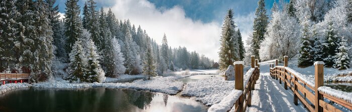 Poster Mit Schnee bedeckte Holzbrücke