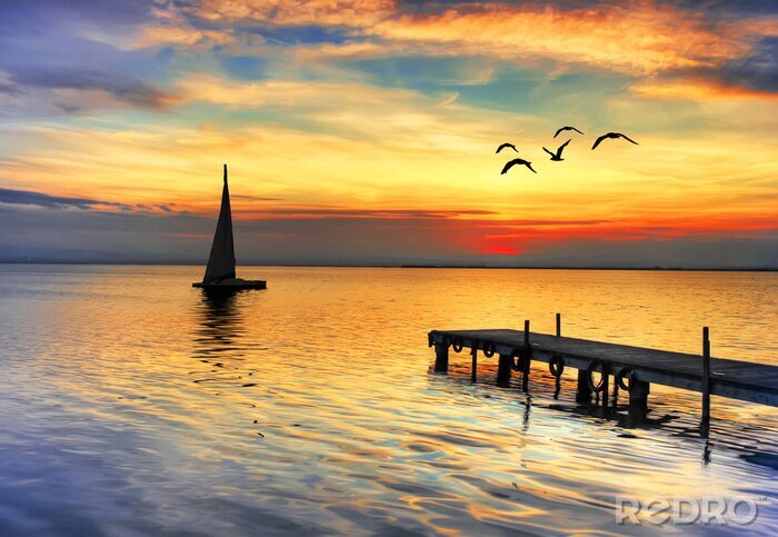 Poster Möwen und Segelboot bei Sonnenuntergang