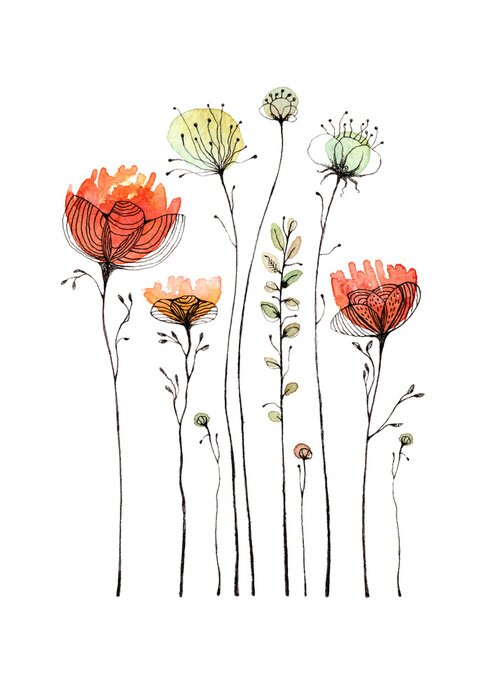 Poster Mohnblumen auf einem weißen Hintergrund mit einer schwarzen Linie skizziert