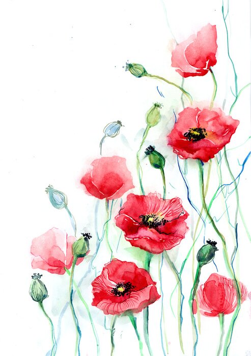 Poster Mohnblumen auf weißem Hintergrund mit blauen Stielen