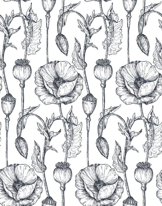 Poster Mohnblumen und Mohnköpfe skizziertes Muster