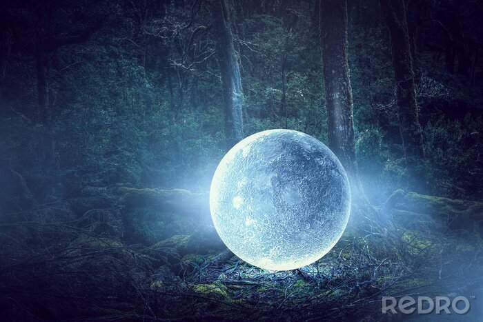 Poster Mond mitten im Wald