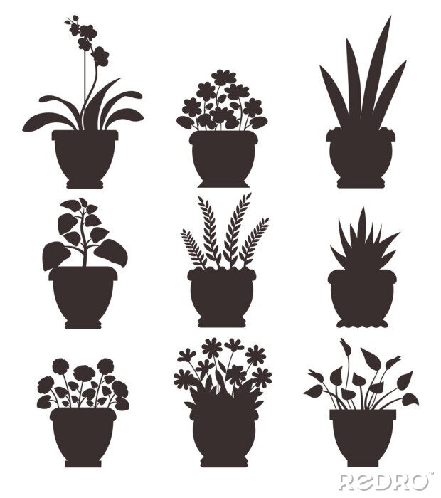 Poster Monochrome Topfpflanzen