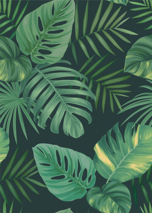 Poster Monstera-Blätter mit gelben Verfärbungen