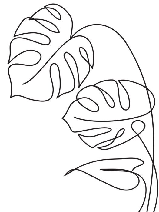 Poster Monstera Tropical leaf