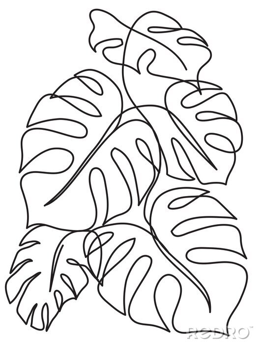 Poster Monstera Tropical leaves. Line art drawing