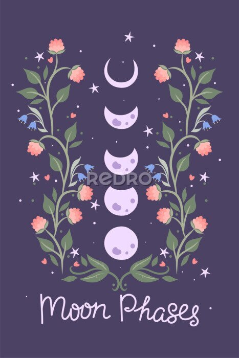 Poster Moon phases floral