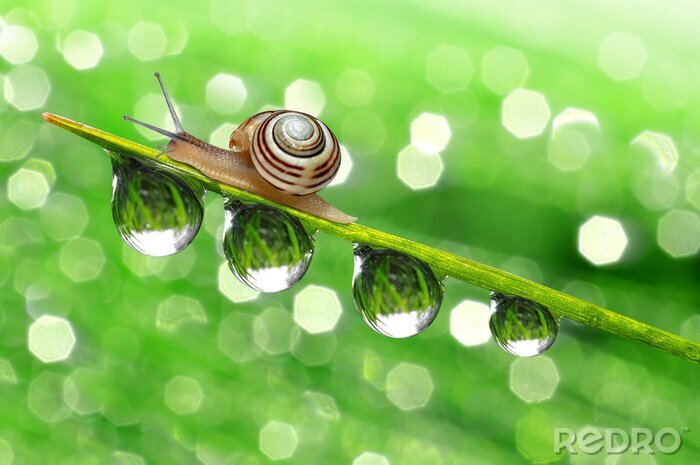 Poster Motiv mit Natur für Kinder
